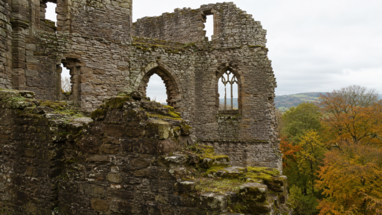 Moss-covered ruined castle walls with empty window arches surrounded by autumn trees